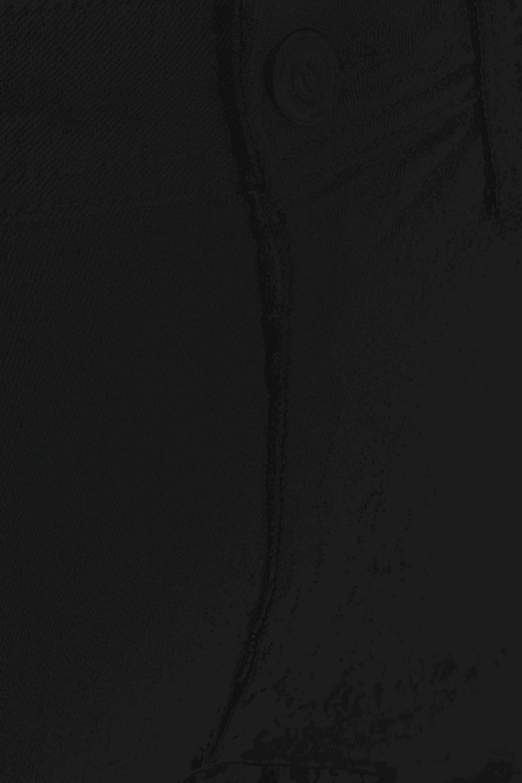 Performance Jeans (Regular) - Black Denim